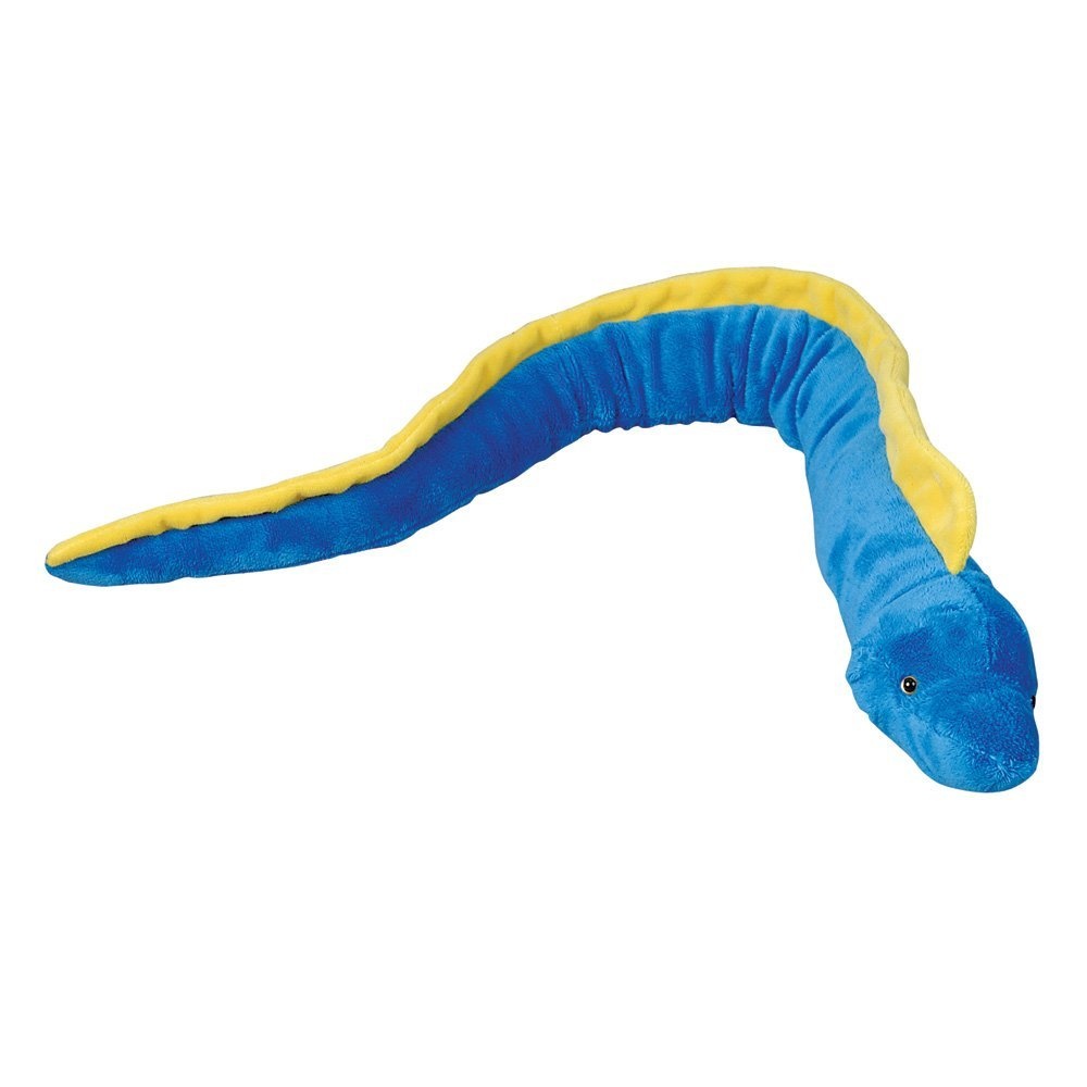 Moray Eel Plush Toy Case Pack 48 ubicaciondepersonas.cdmx.gob.mx