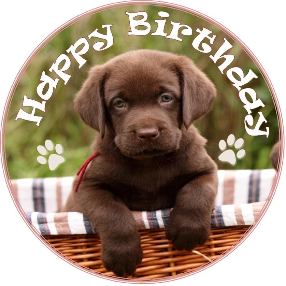 chocolate lab cake