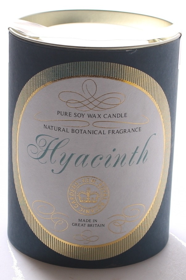 Kew Royal Botanic Gardens Candle Hyacinth Kew Royal Botanic Gardens Candle Hyacinth