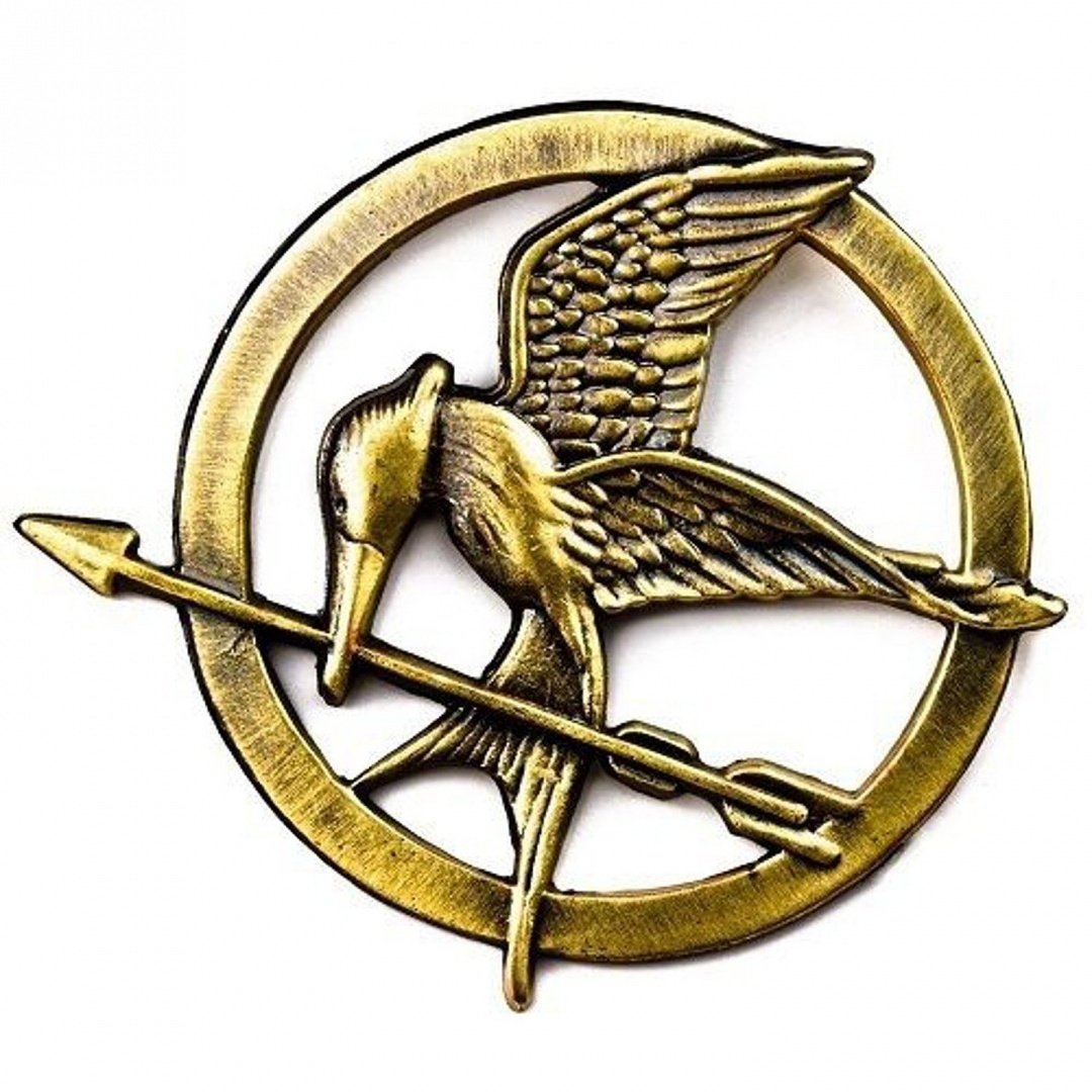 Download The Hunger Games Mockingjay Pin Badge Brooch Catching Fire By Jzmfashions Shop Online For Jewelry In The United States