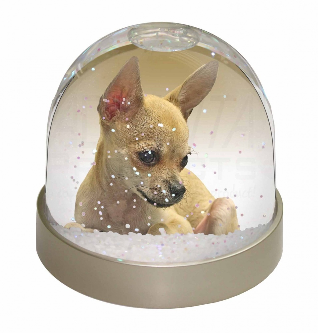 Advanta Group Shetland Pony Snow Dome Globe Waterball Gift Multi-Colour 9.2 x 9.2 x 8 cm Advanta Group Shetland Pony Snow Dome Globe Waterball Gift Multi-Colour 9.2 x 9.2 x 8 cm