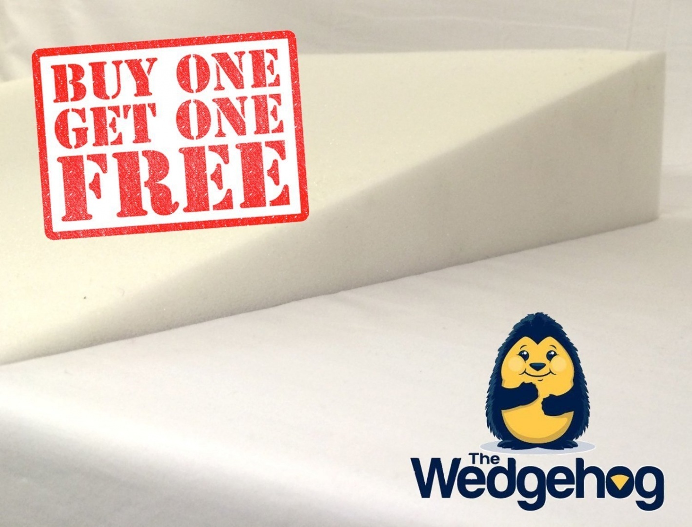 wedgehog reflux wedge