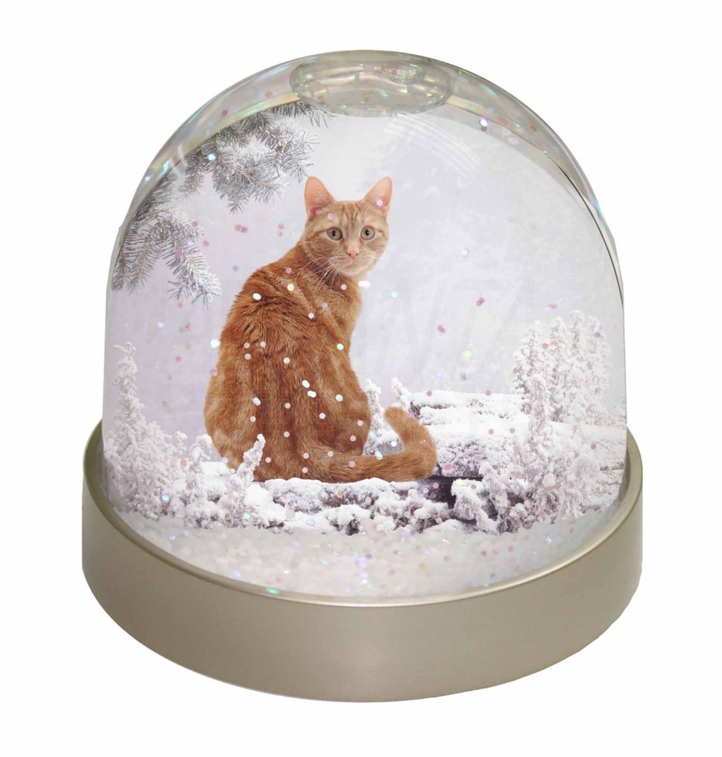 Advanta Group Shetland Pony Snow Dome Globe Waterball Gift Multi-Colour 9.2 x 9.2 x 8 cm Advanta Group Shetland Pony Snow Dome Globe Waterball Gift Multi-Colour 9.2 x 9.2 x 8 cm