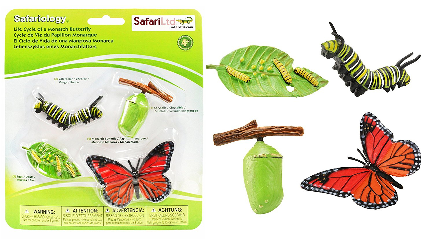 Collecta mariposa monarca