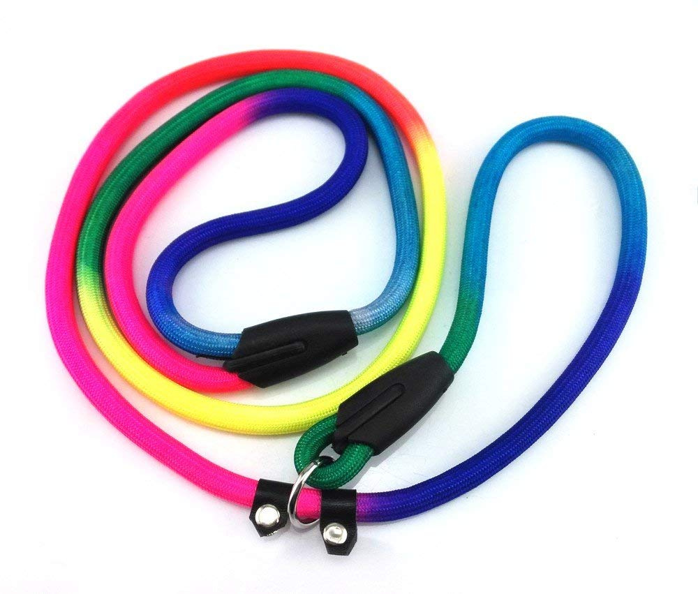 loop slip dog leash