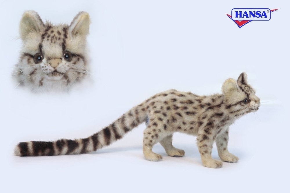 toy leopard cat
