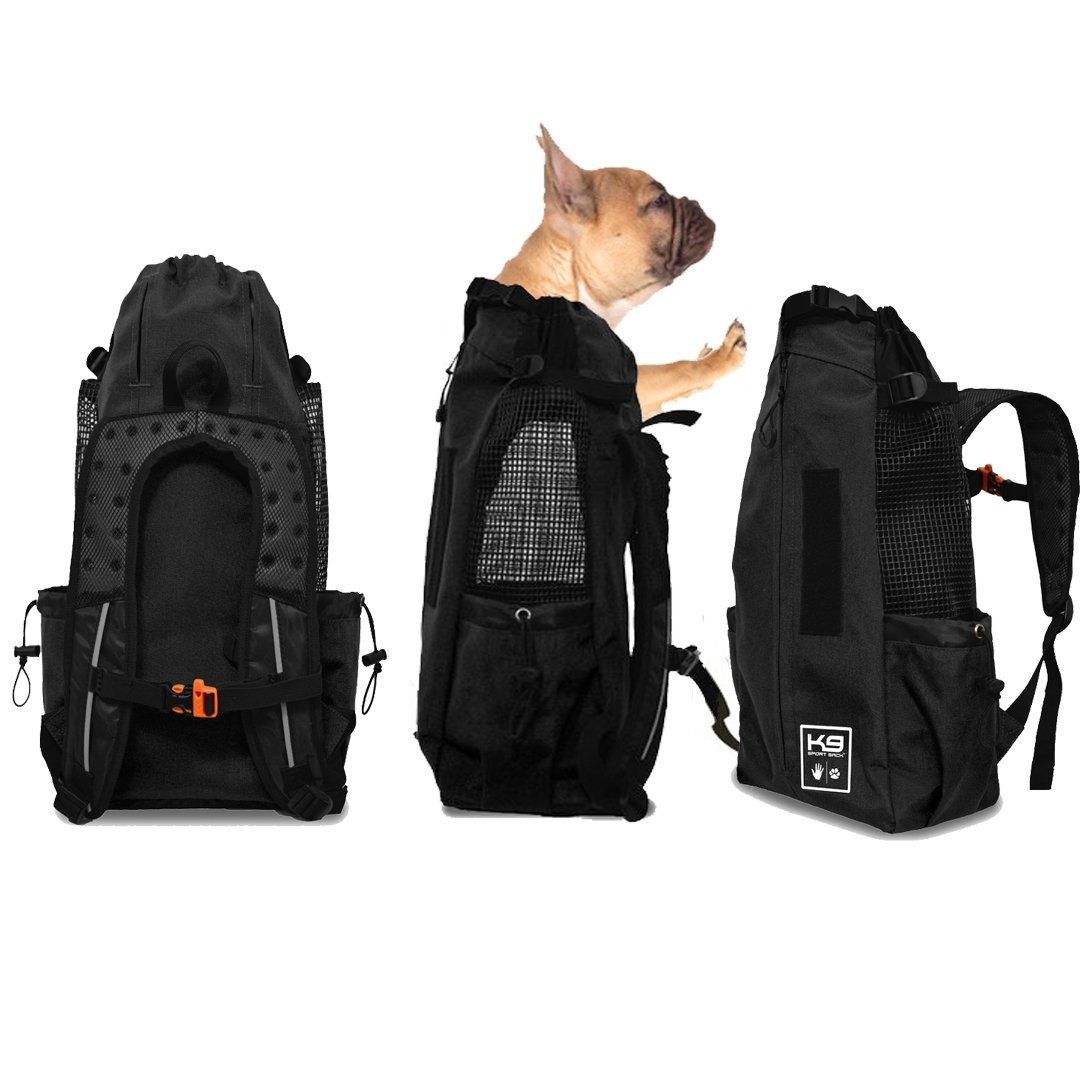 Are Front Facing Dog Carriers Safe