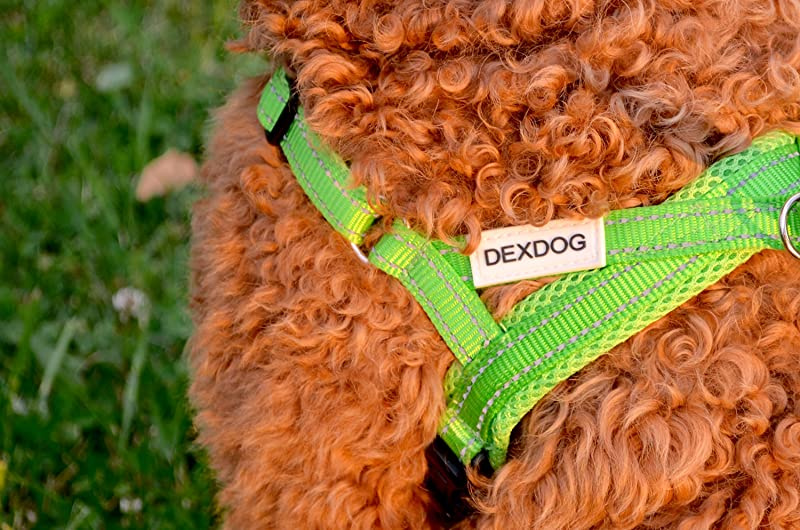 dexdog