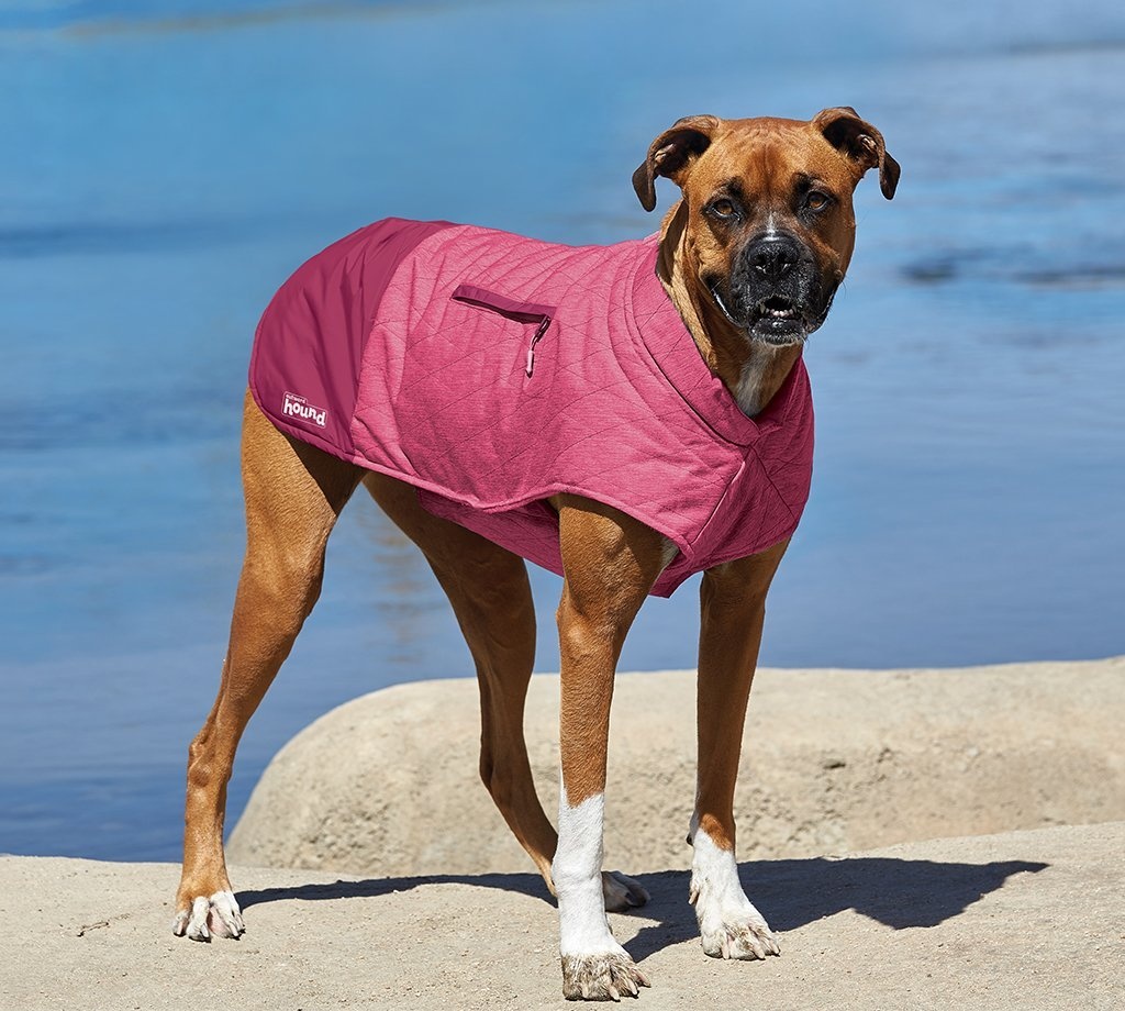 petcircle dog clothes