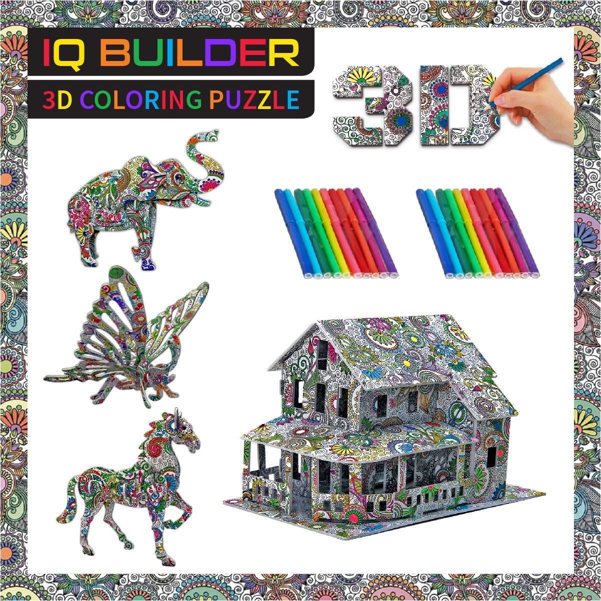 iq builder arts and crafts