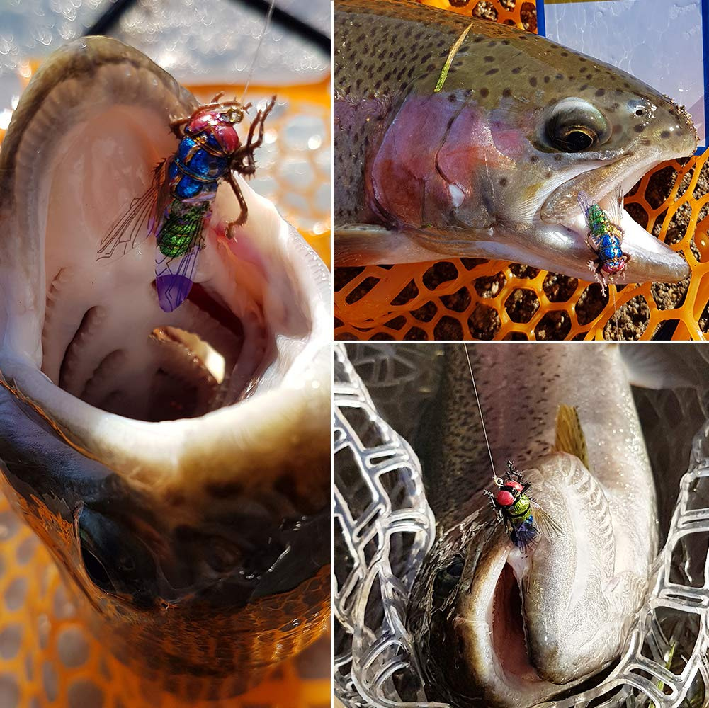 YZD Fly Fishing Flies Realistic Dry Wet Nymph Trout Flies Hand Tie Lures Kits 12/26/48 Pcs YZD Fly Fishing Flies Realistic Dry Wet Nymph Trout Flies Hand Tie Lures Kits 12/26/48 Pcs
